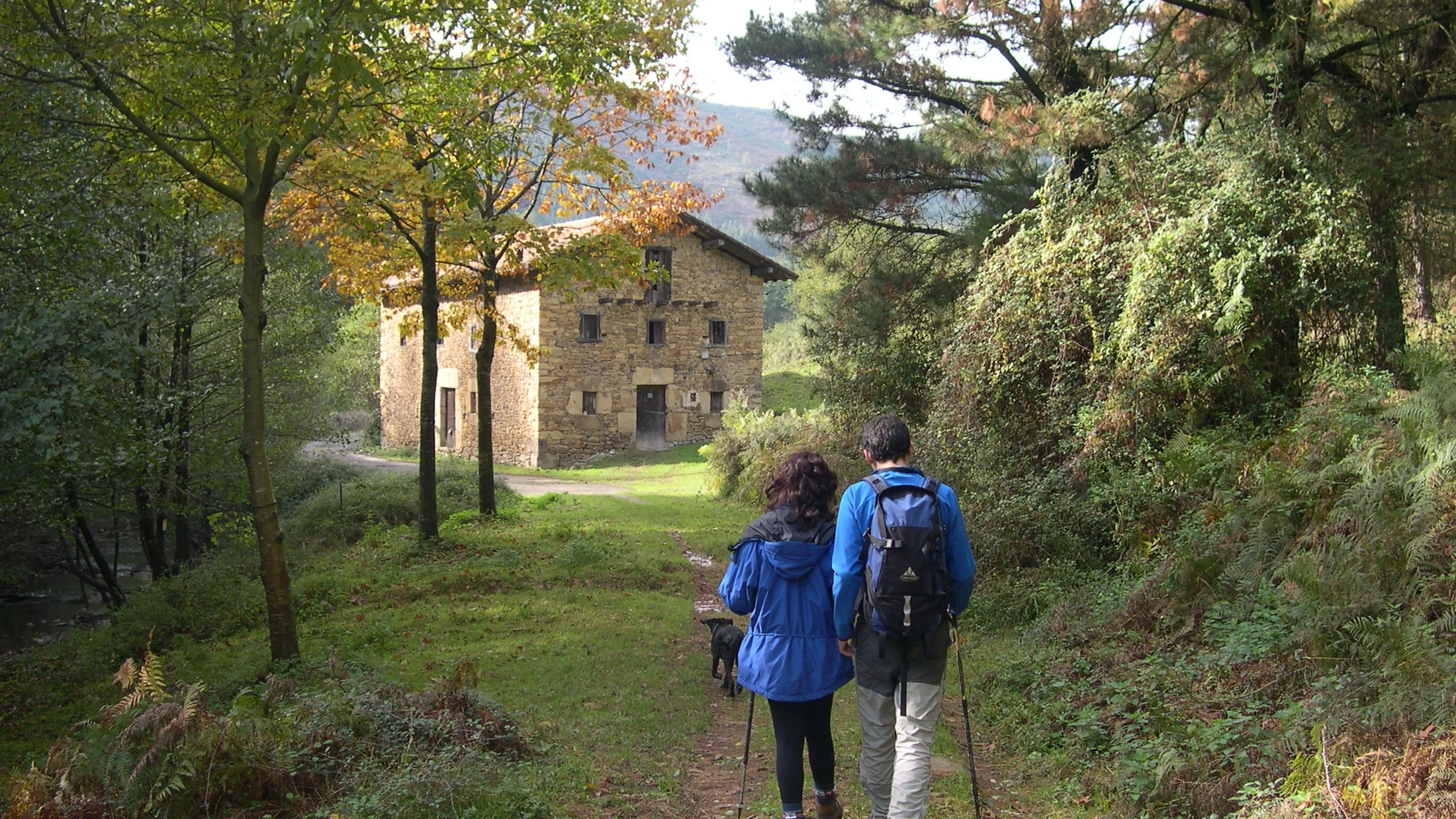 Imagen de Región: cmcjdctf8001dik8pjey3mwm2