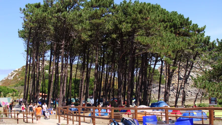 Imagen de Región: cmcjdd6f80069ik8prmdcr3wj