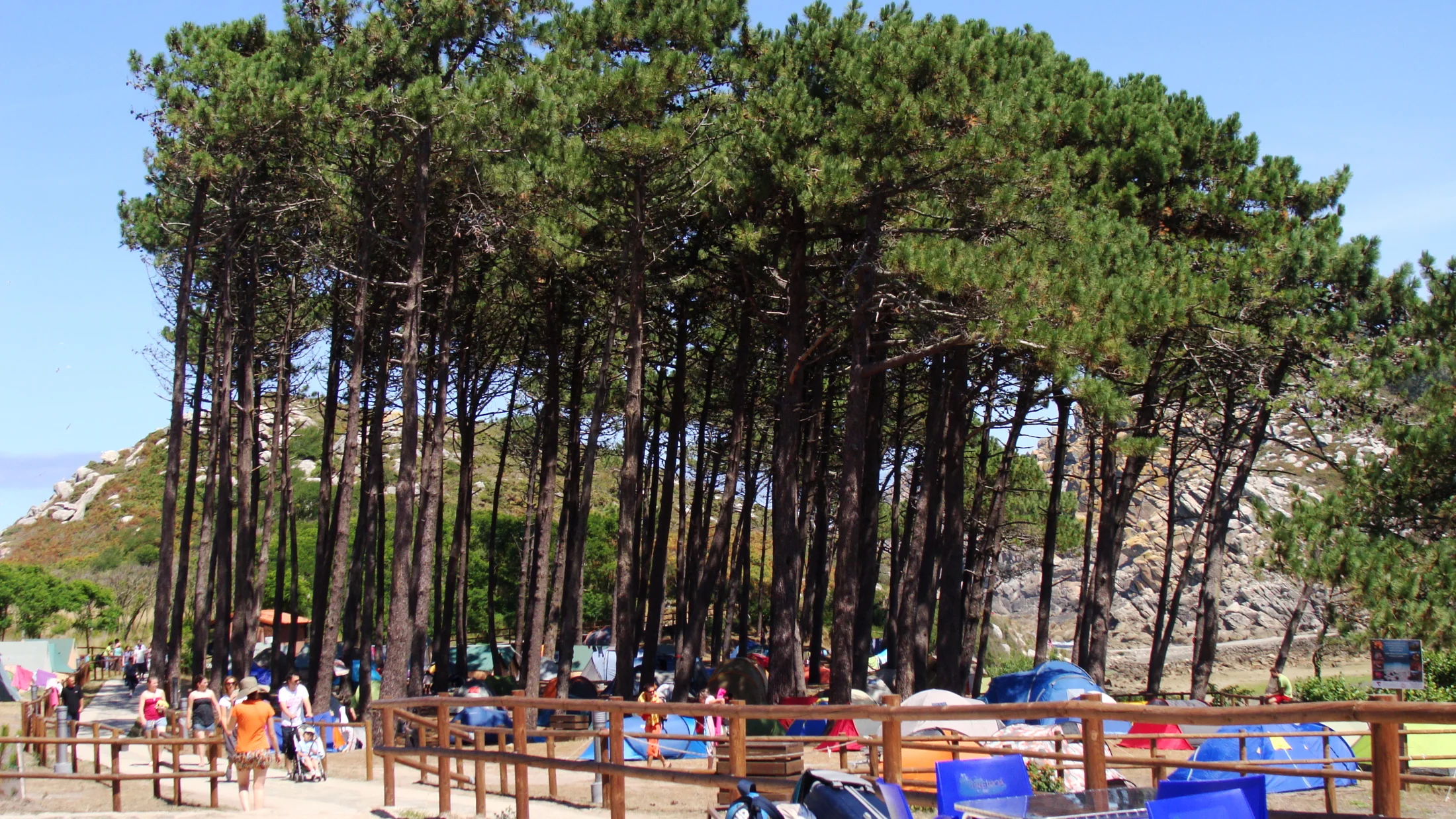 Imagen de Región: cmcjdd6f80069ik8prmdcr3wj