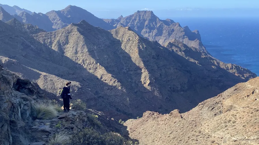 Imagen de Actividad: cmdylxjh509fh2xzhjj9j40mx