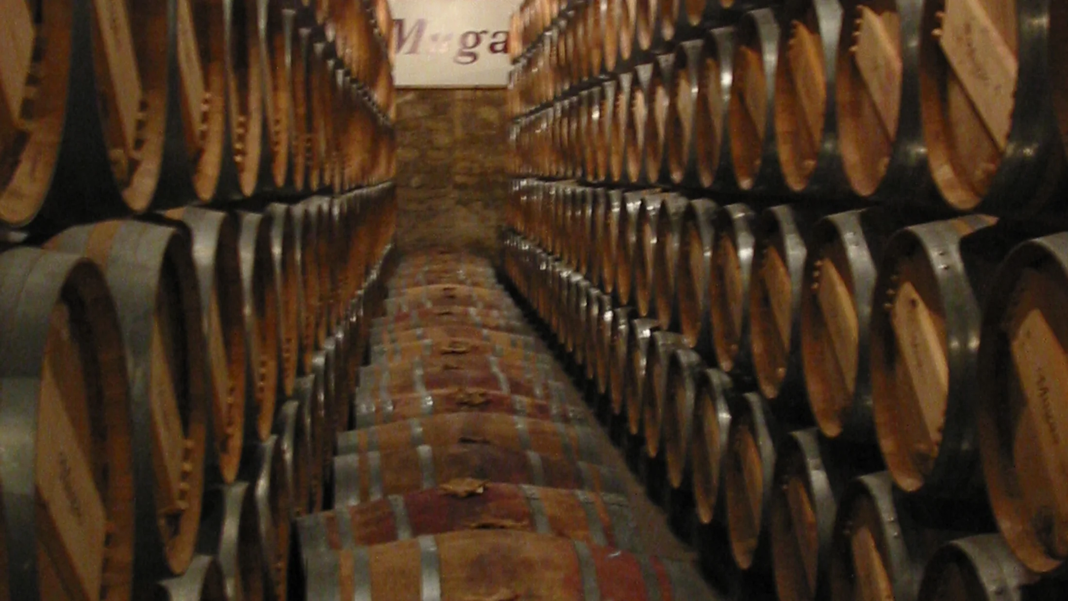 File:Wine barrels in La Rioja.jpg