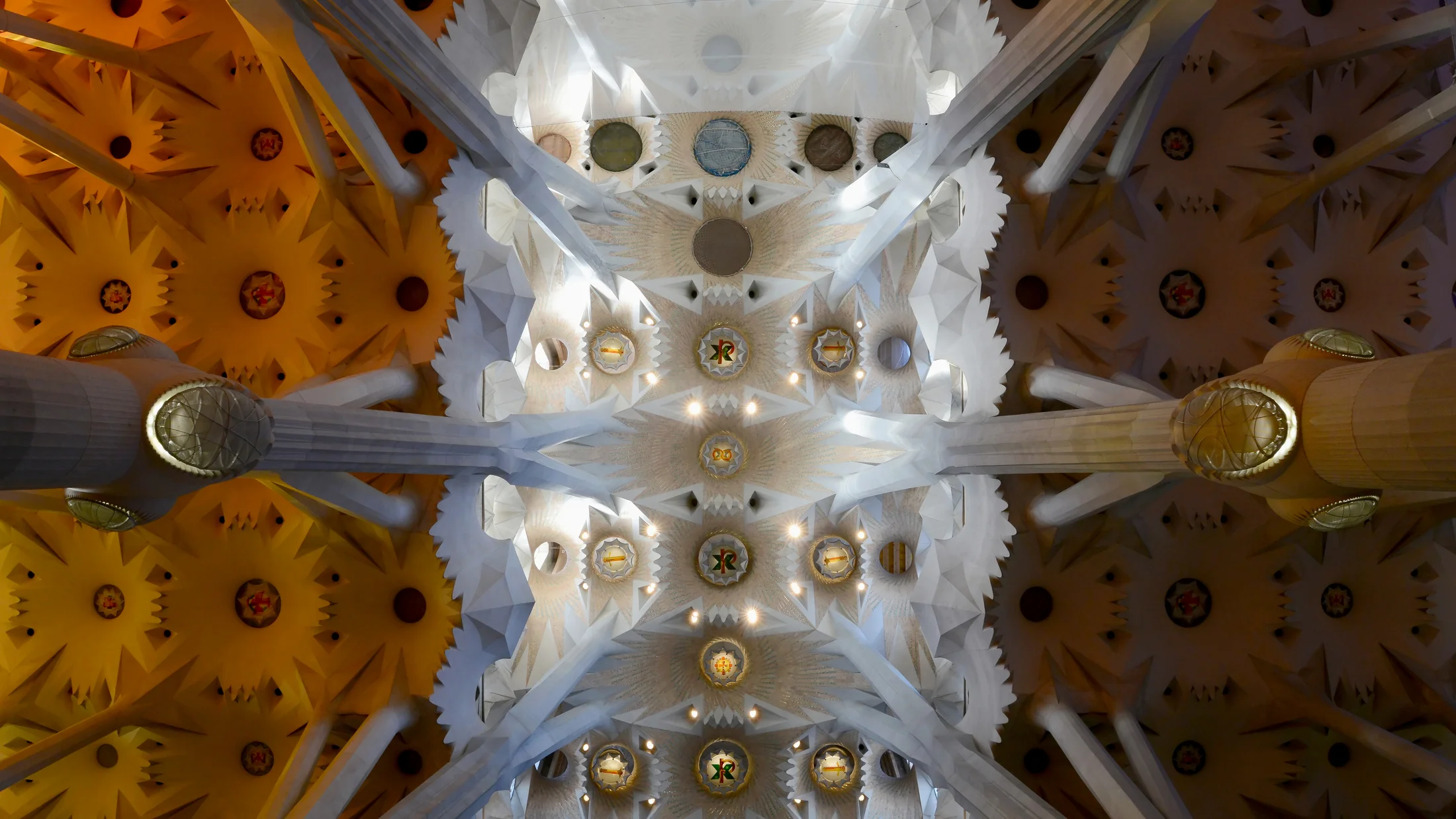 Imagen de Región: cmnxqcnt4008shd9s0mexv0n3