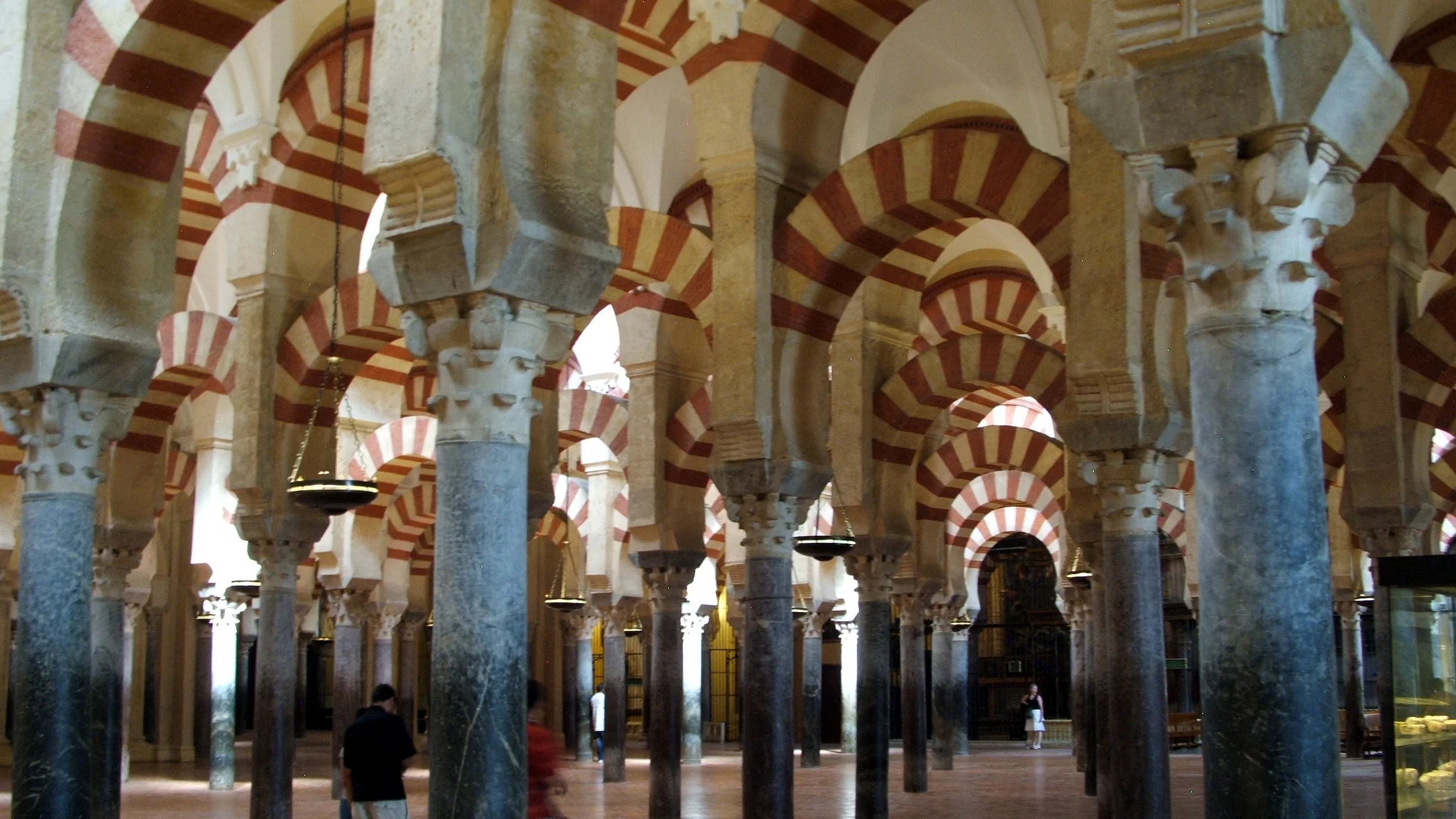 Imagen de Región: cmnxq22up06wphx37fellyyxr