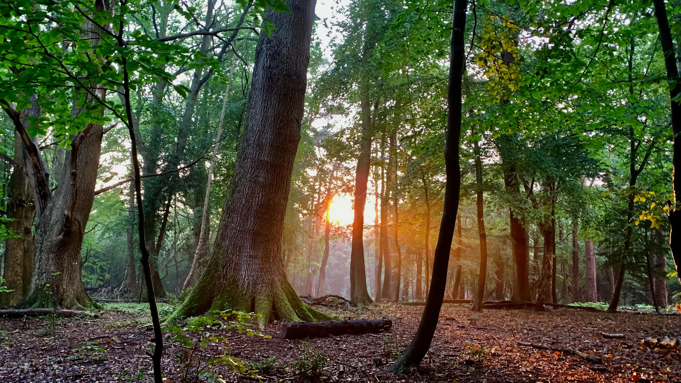 Imagen de Artículo de Blog: cmgz812y0007u9i0ucz7qci3r