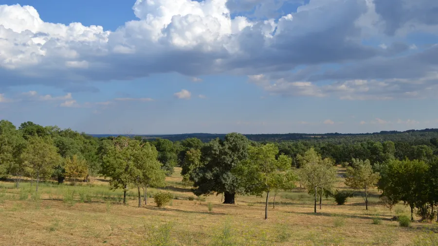 Imagen de Artículo de Blog: Getaways less than 2 hours from Madrid you didn't know about