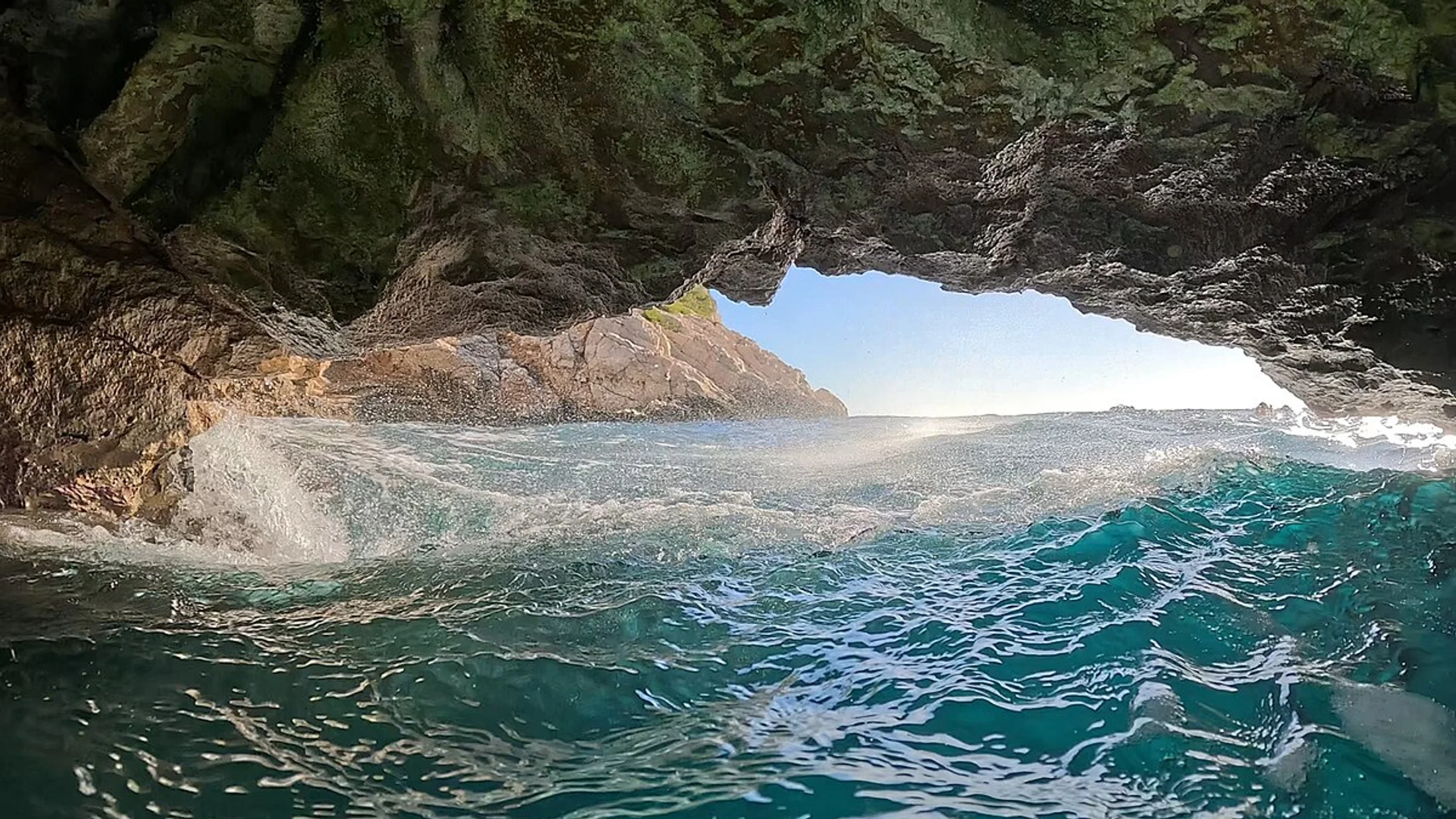 Snorkel
