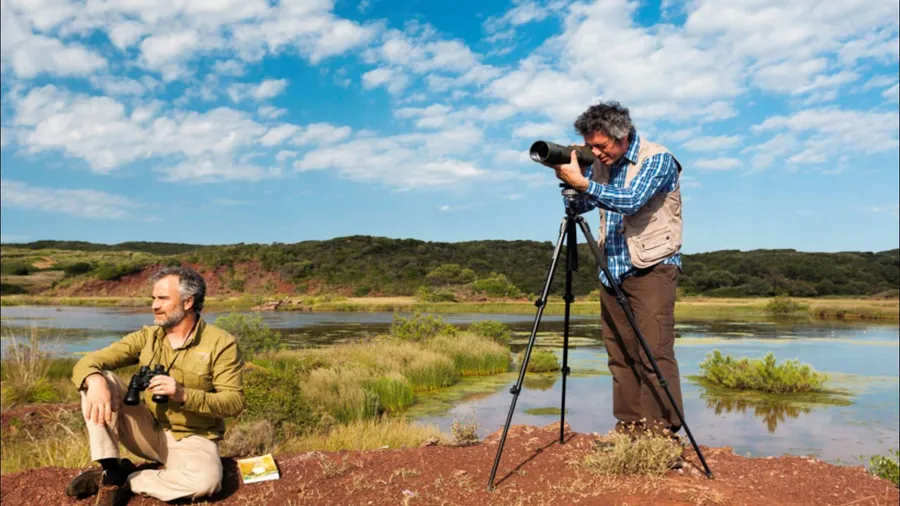 Birdwatching en España: 12 parques y humedales para la observación de aves
