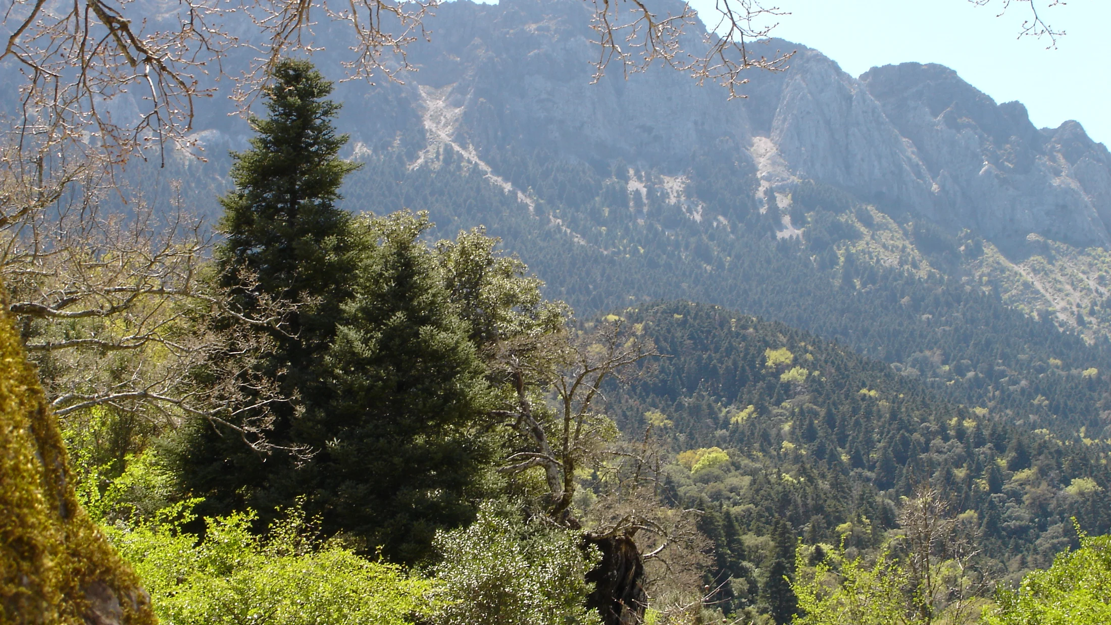 File:Sierra del Pinar (panorámica).JPG