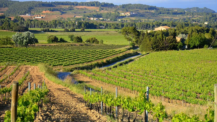 Penedès with Kids