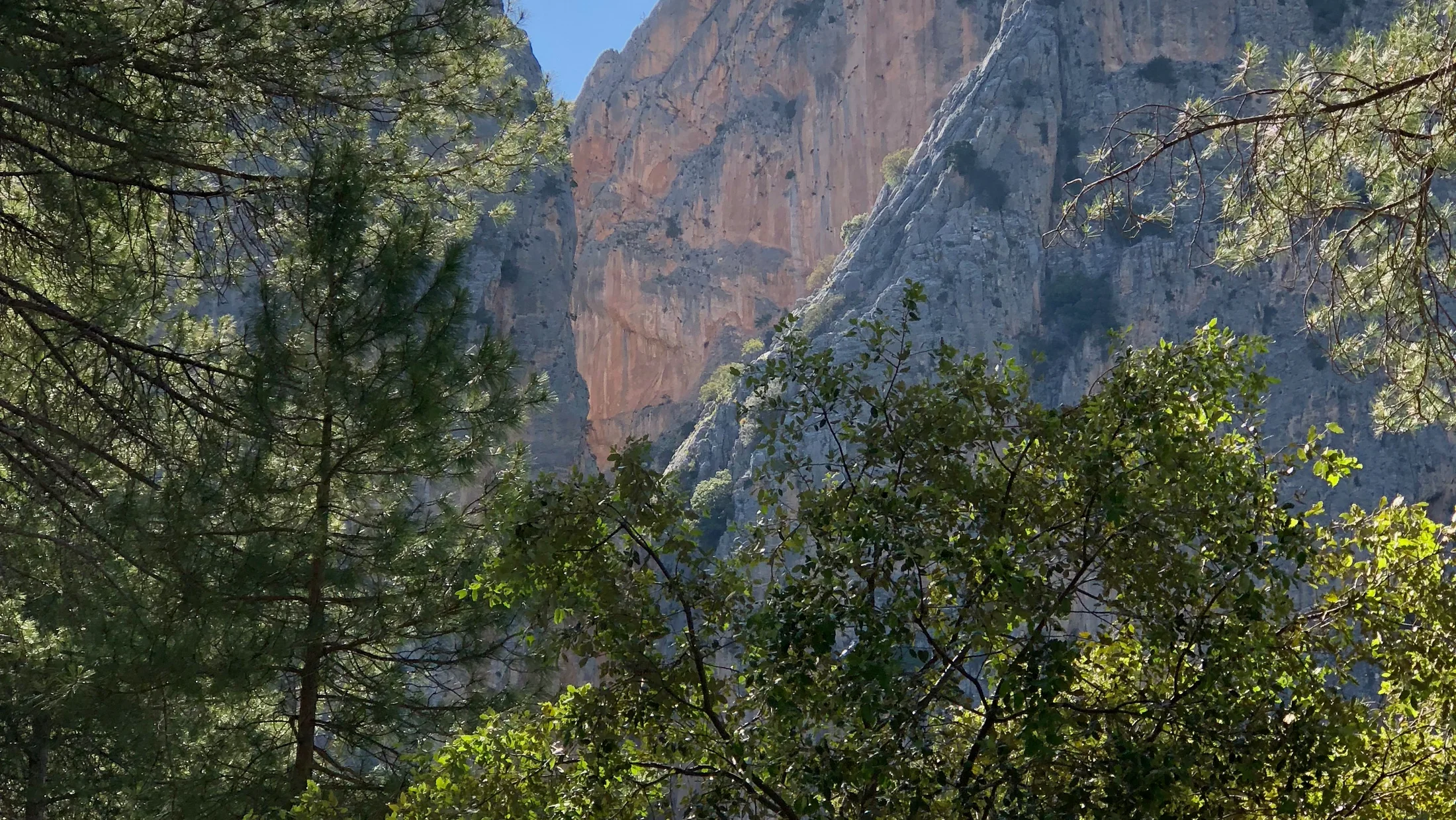 Imagen de Región: cmcjddanc007tik8pyh4gknc1