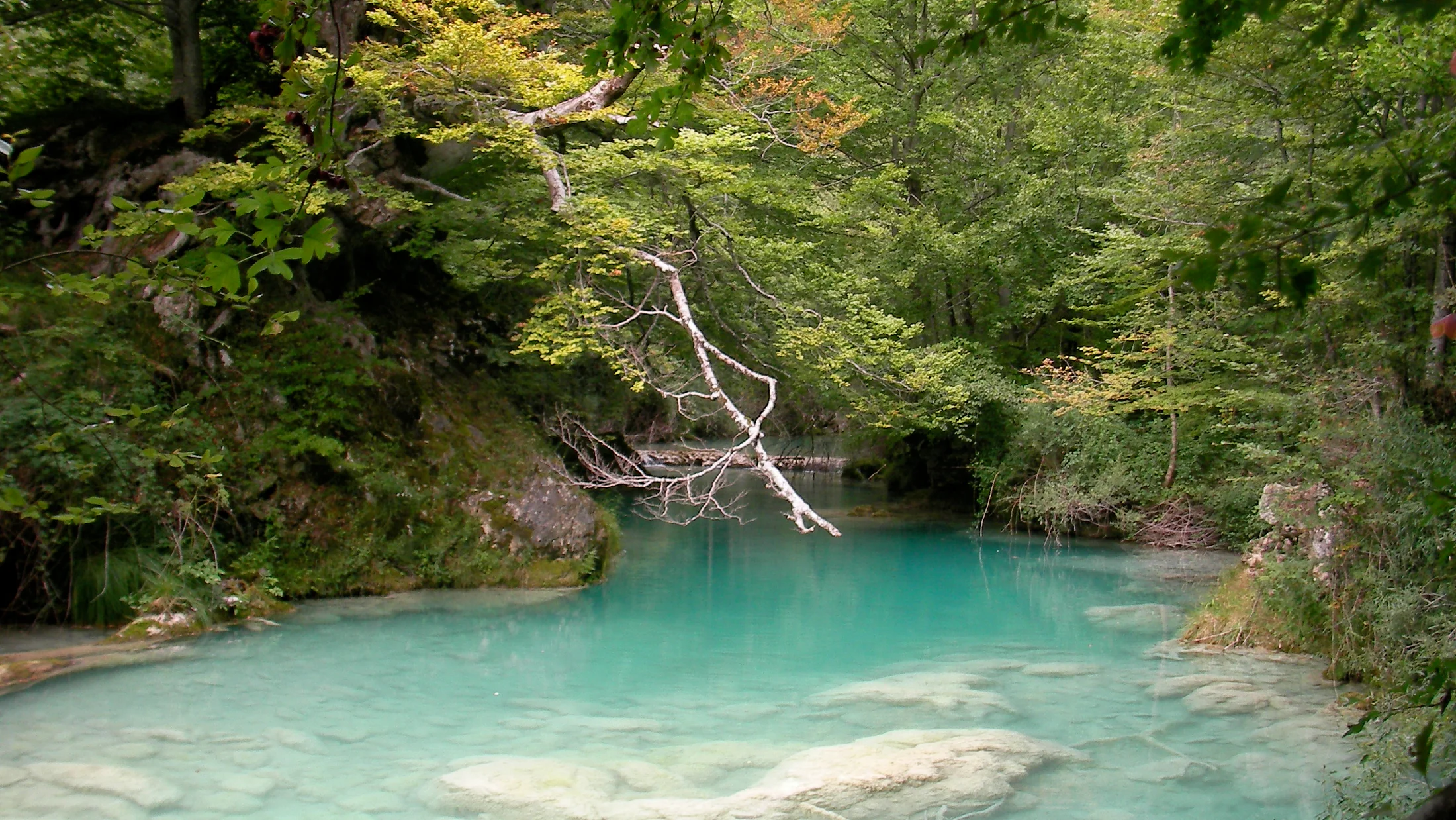 Imagen de Región: cmcnc9ruy0hitzr5pghcm7f5c