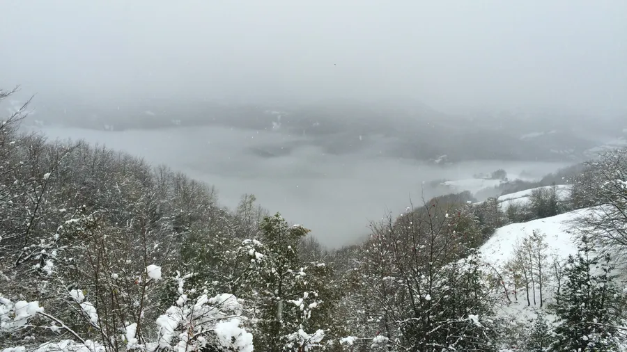 Imagen de Región: cmcjdd34y0051ik8pzeqd9f1t