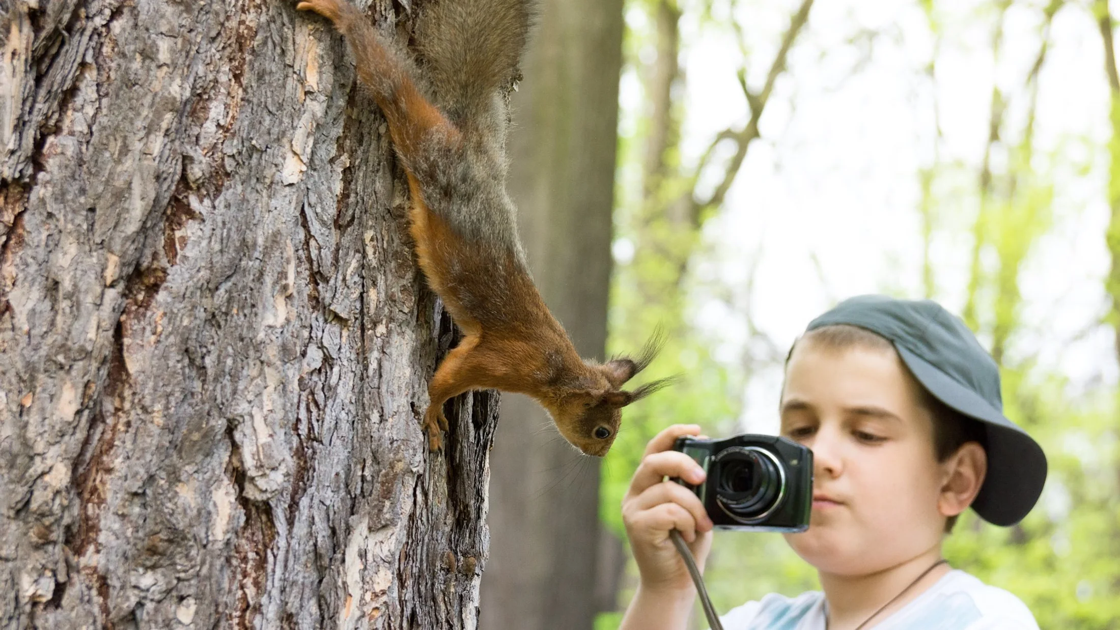 Observación de Fauna