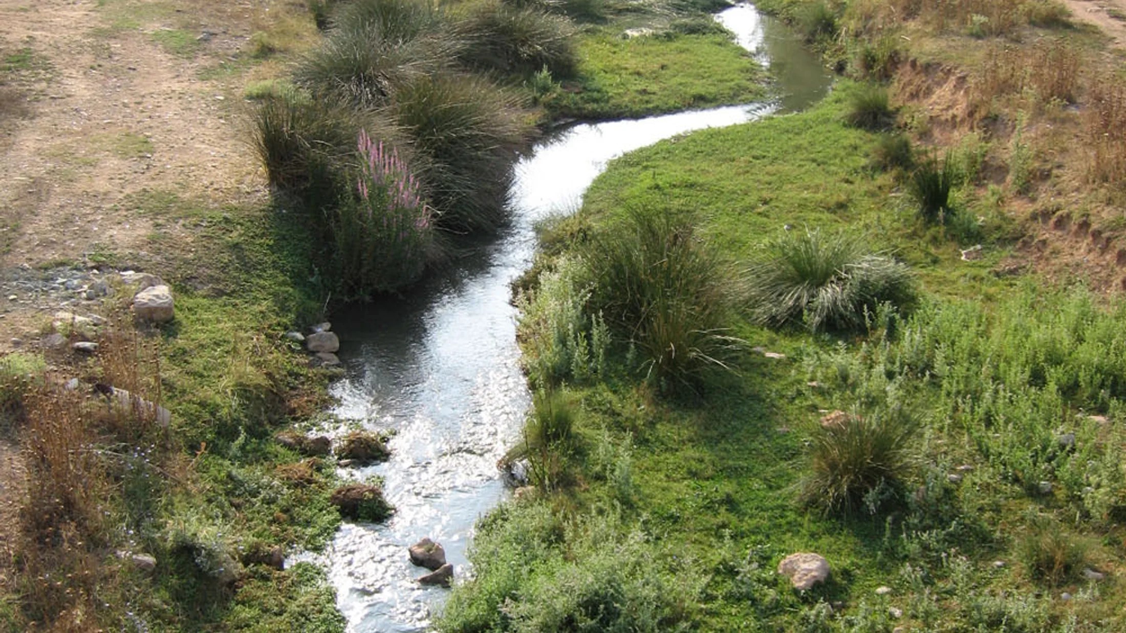 File:Río Magro.jpg