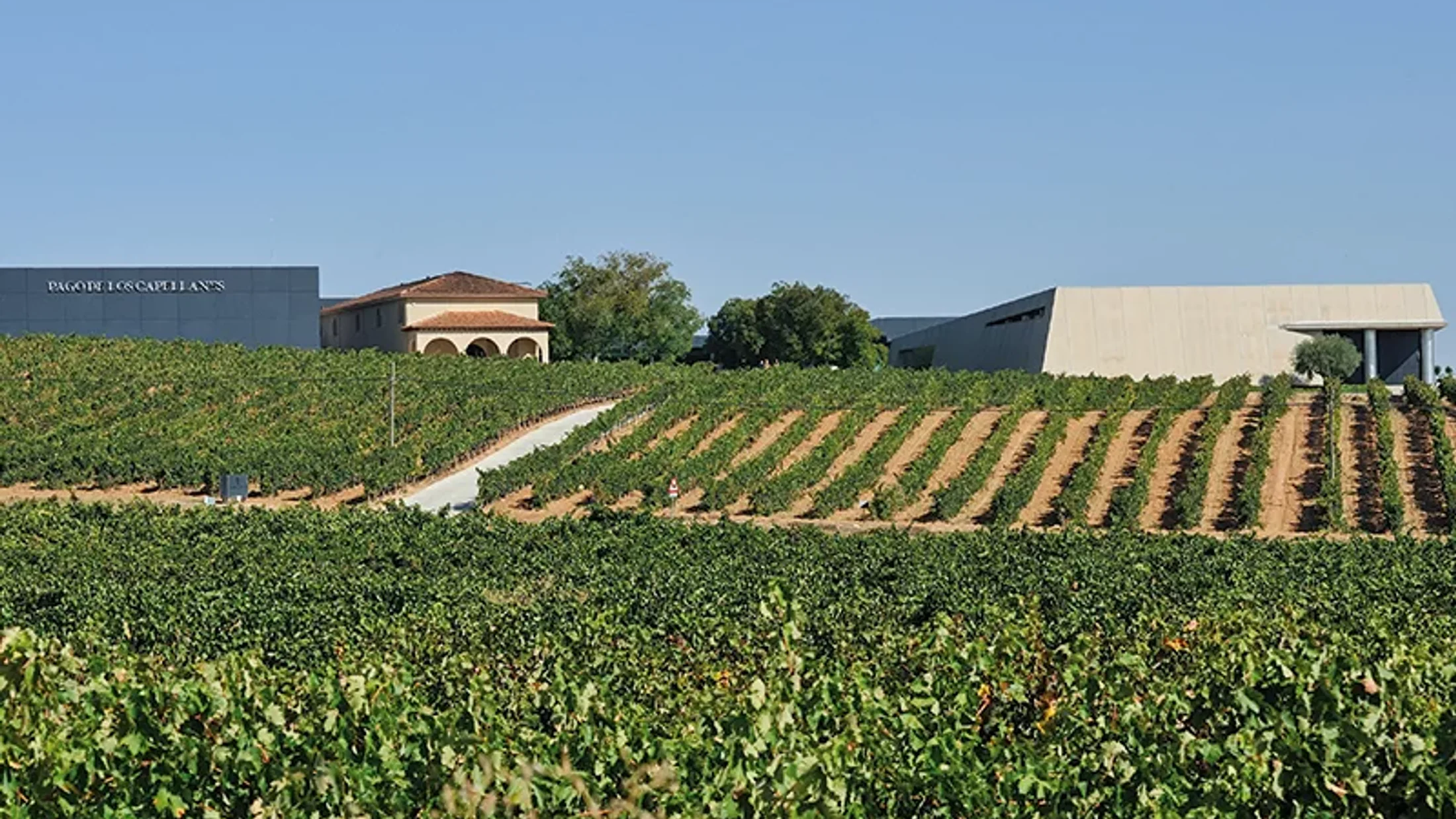 Imagen de Artículo de Blog: cmgz7t743007e9i0uq87j2kr8