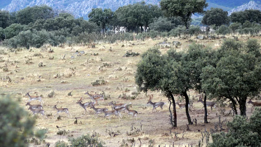 Imagen de Región: cmcnc9cxc0hg9zr5pfoqmvelp