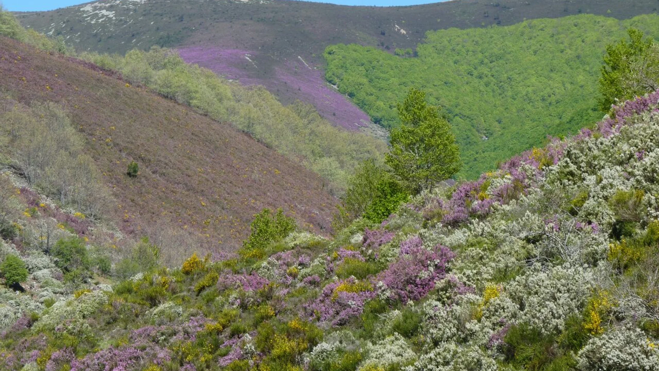 La Sierra de la Demanda en primavera