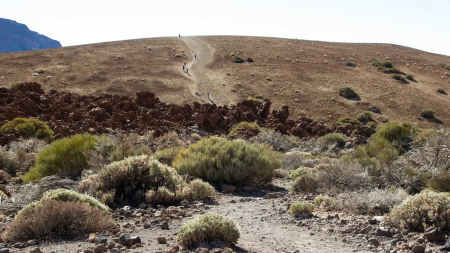 Vista del Parque Nacional del Teide en Tenerife, Canarias, con paisajes volcánicos y senderos para senderismo.