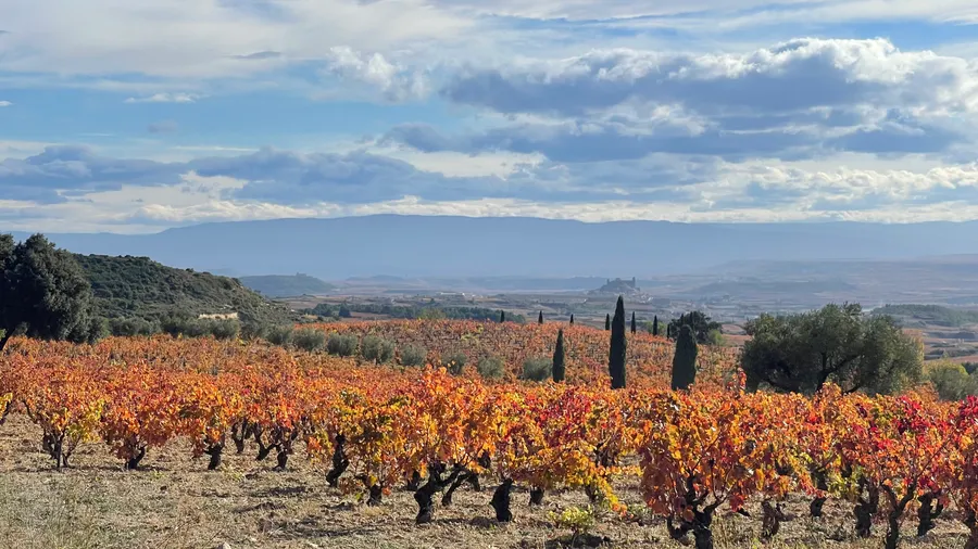 Escapada gastronómica a La Rioja