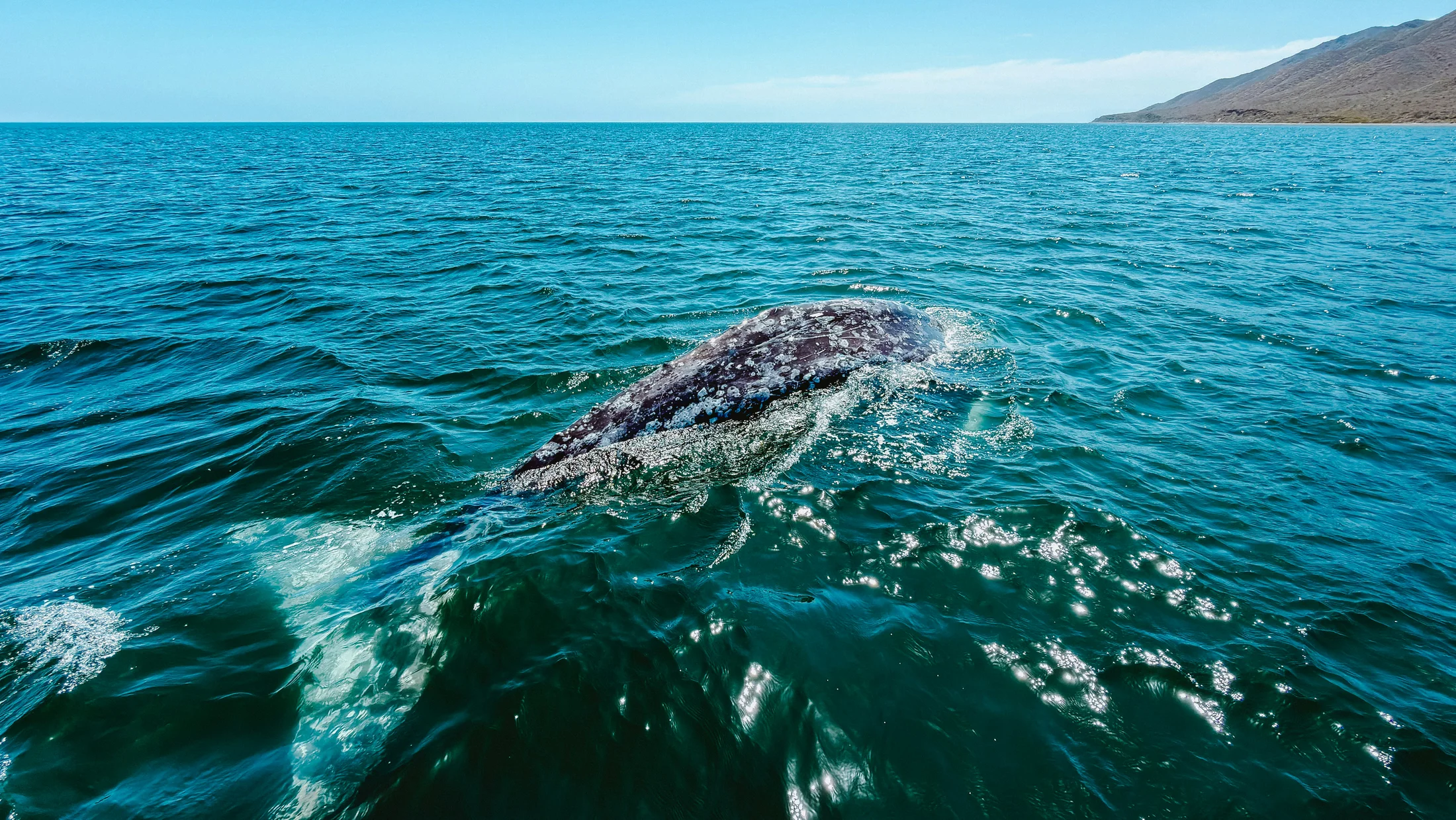 Imagen de Artículo de Blog: cmo2xmyw000081bq87l3y6zp7