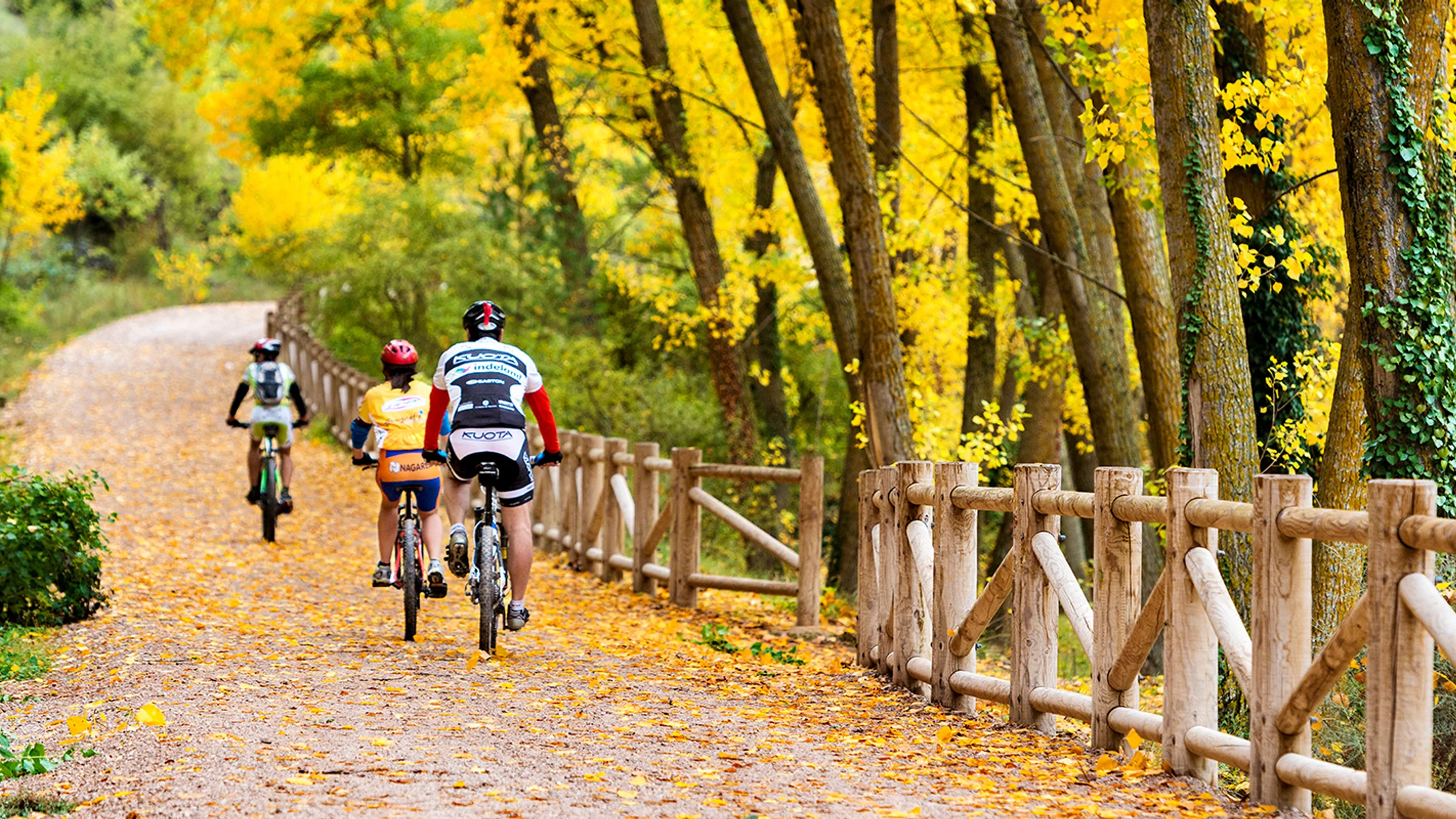 Turismo activo en otoño: los 10 mejores planes outdoor de septiembre a noviembre