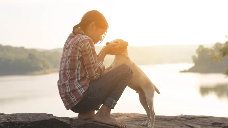 Imagen de Artículo de Blog: Escapadas pet-friendly: 6 destinos rurales donde tu perro es bienvenido