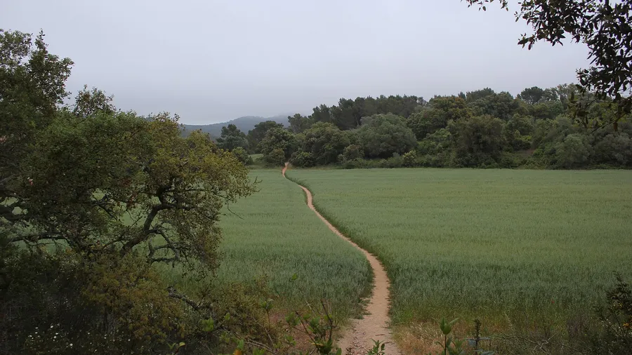 Travesías en bicicleta por el Empordà