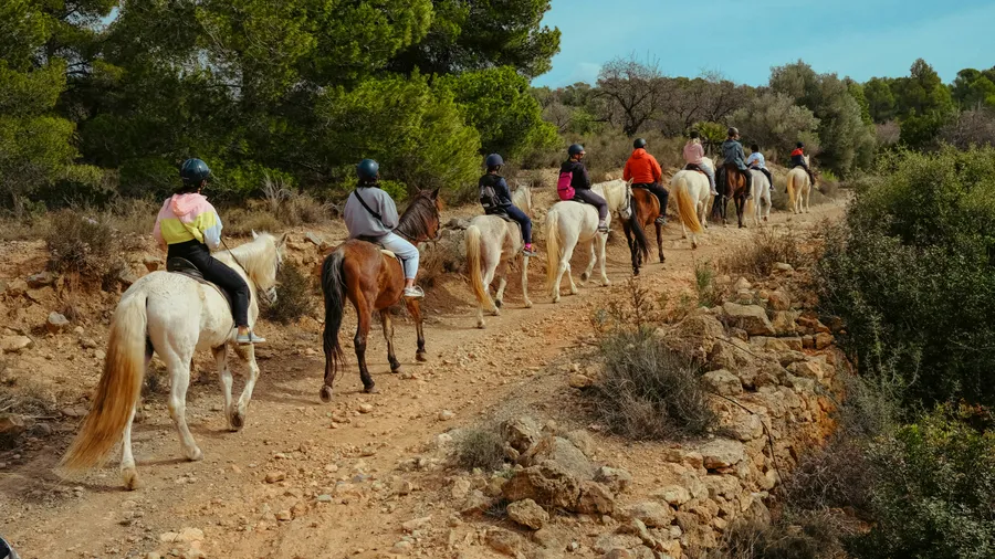 Imagen de Artículo de Blog: Horseback rides in Spain: 10 experiences across mountains, beaches and dehesa