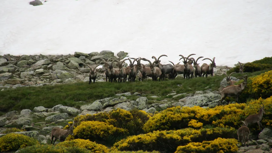 Imagen de Región: cmcj1wlbf0006phyj2qa6n1mq