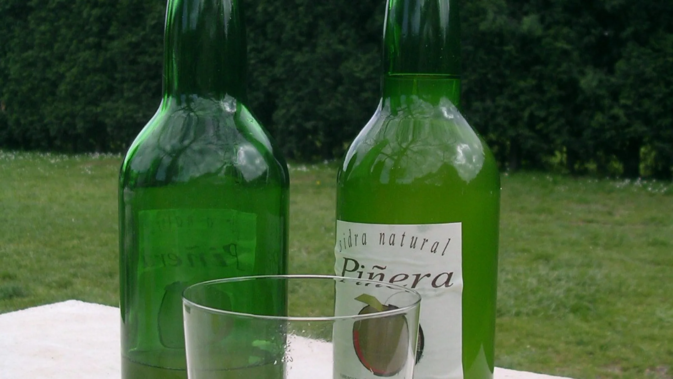 File:Sidra Natural Piñera.jpeg
