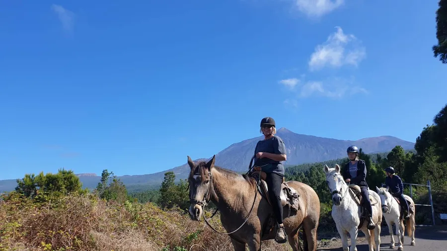 Ruta a caballo por Icod de los Vinos y sus vinos con vistas al Teide