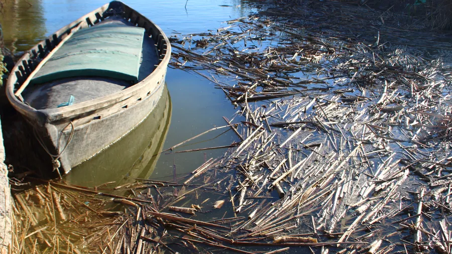 Imagen de Región: cmcjb26bs0009ik8p0i34z3sm