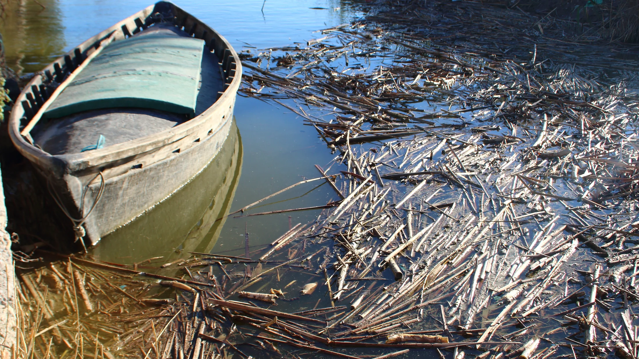Imagen de Región: cmcjb26bs0009ik8p0i34z3sm