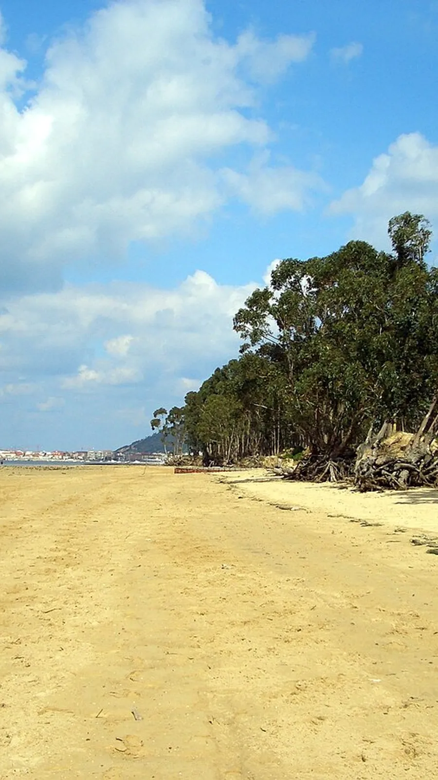 Regatón Beach