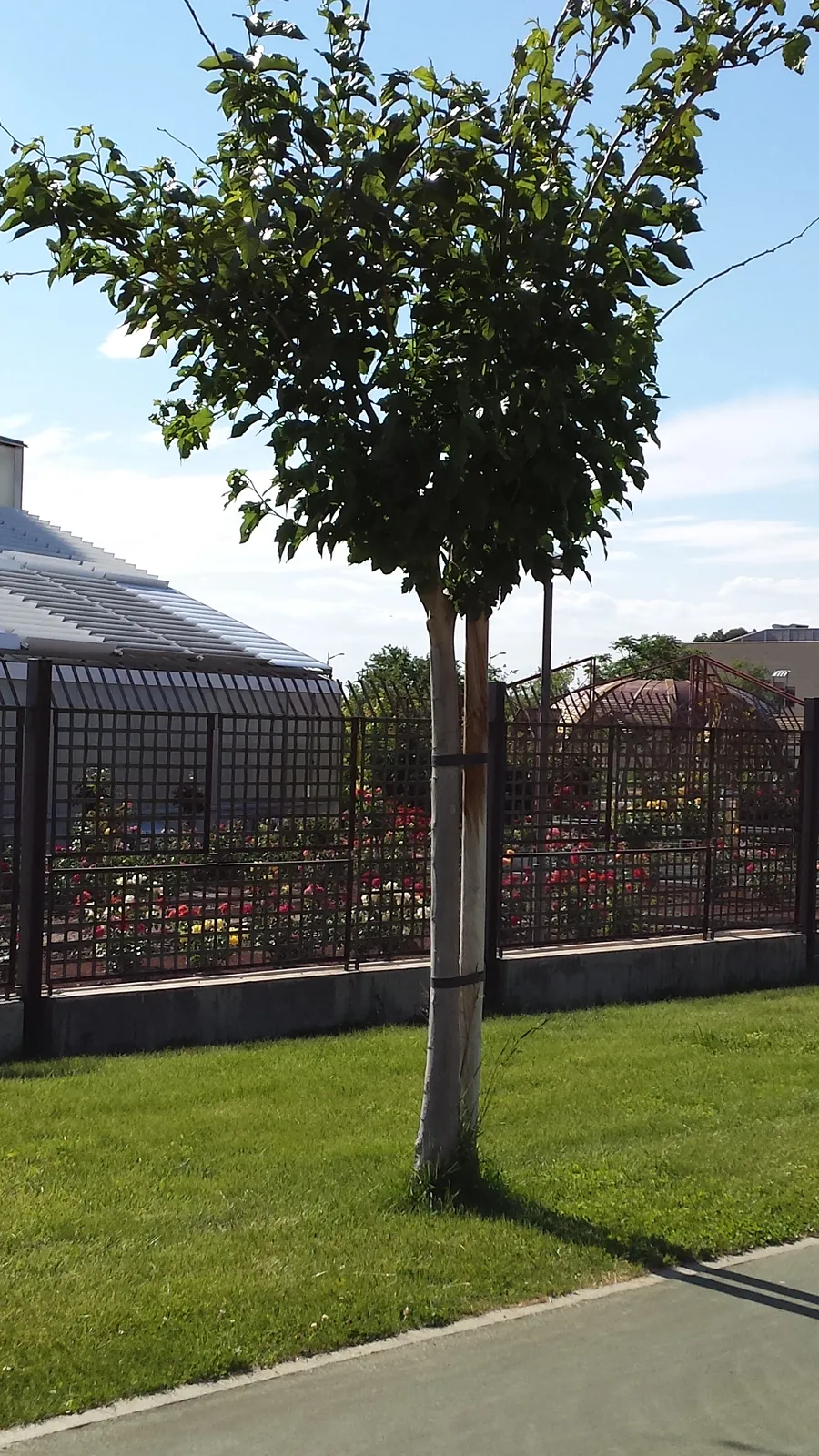 Jardín Botánico de Castilla-La Mancha