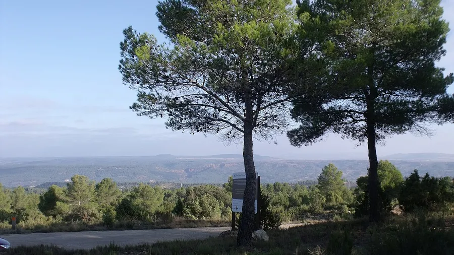 Valle de Ayora-Cofrentes