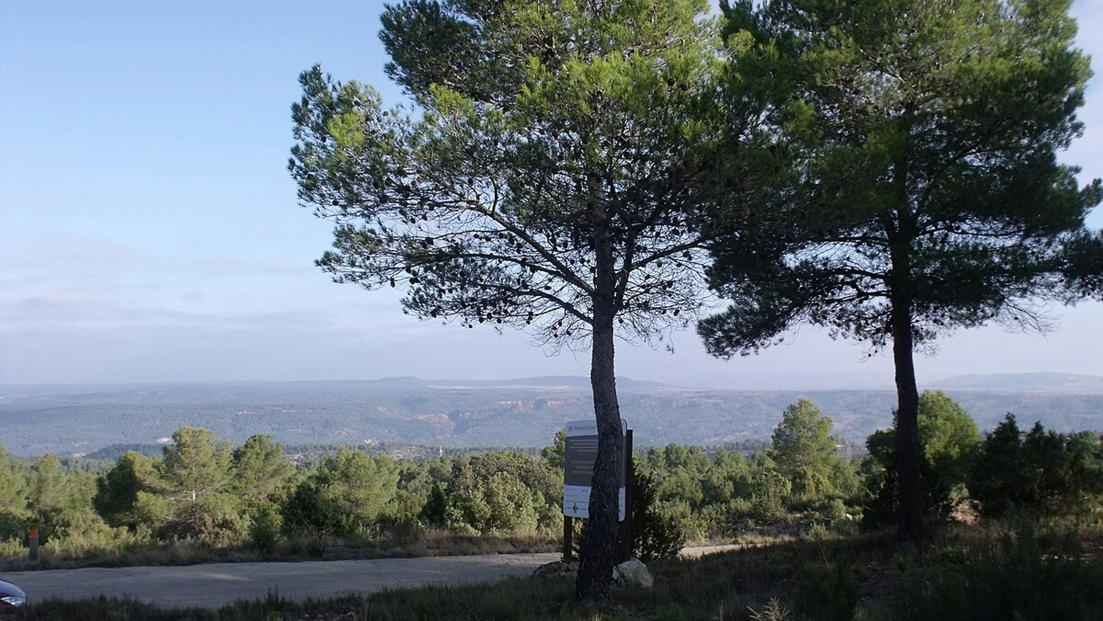 Imagen de Región: cmnoiwo39008d14nw7y9qv5yx