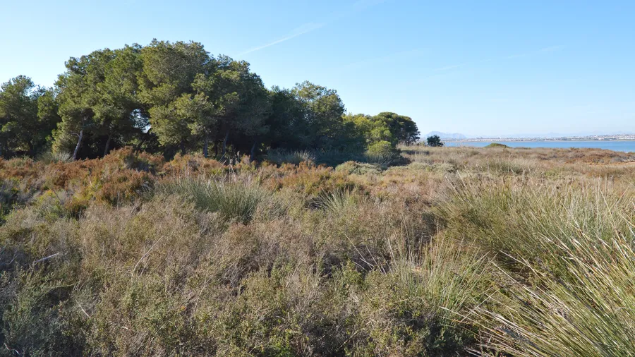 Natural Park of La Mata and Torrevieja Lagoons