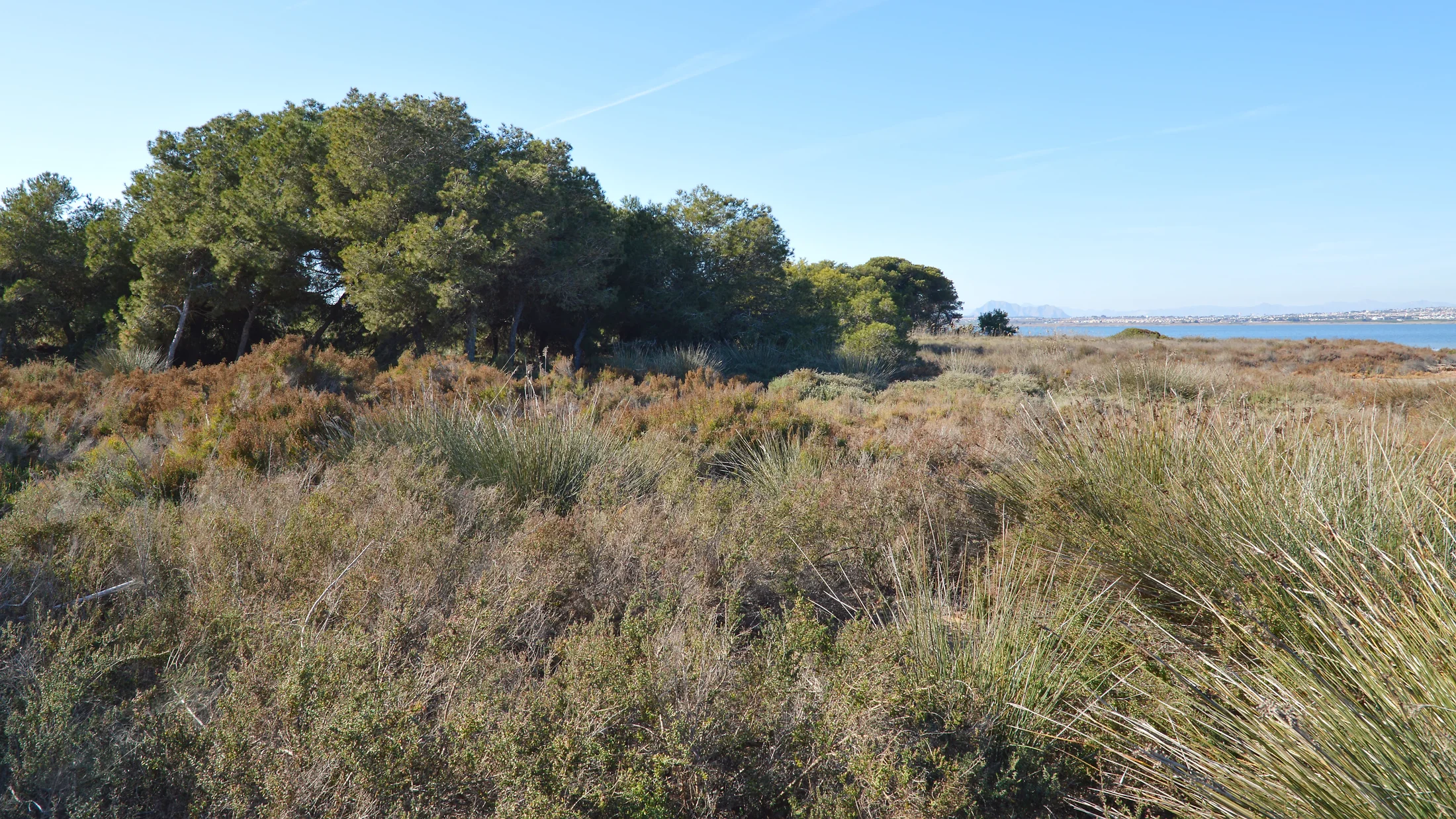 Imagen de Región: cmcjddfq4009pik8p50evd5vm