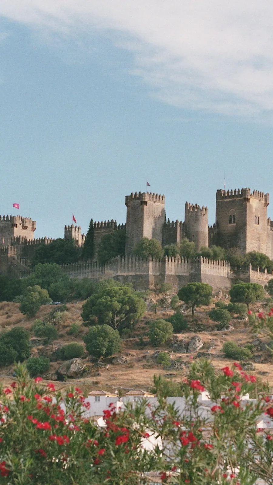Castello di Almodóvar del Río