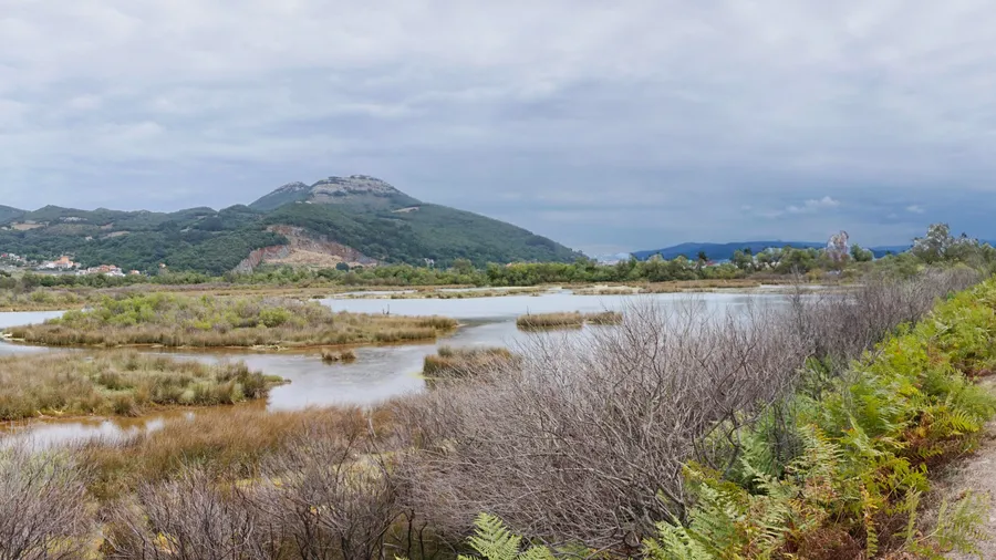 Parque Natural de las Marismas de Santoña, Victoria y Joyel