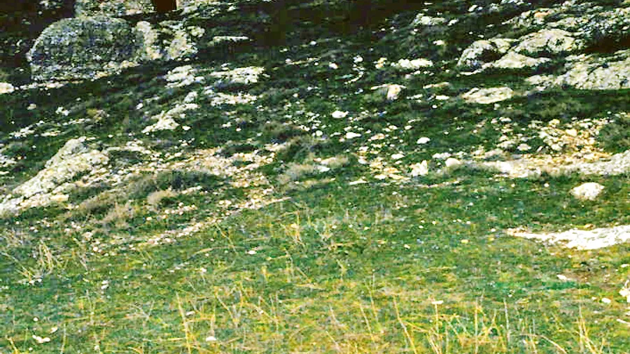 Archäologischer Park von Segóbriga