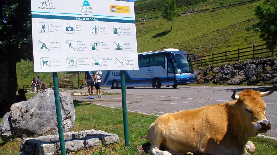 Prinzipat von Asturias