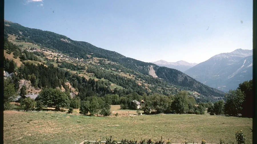 Loeches