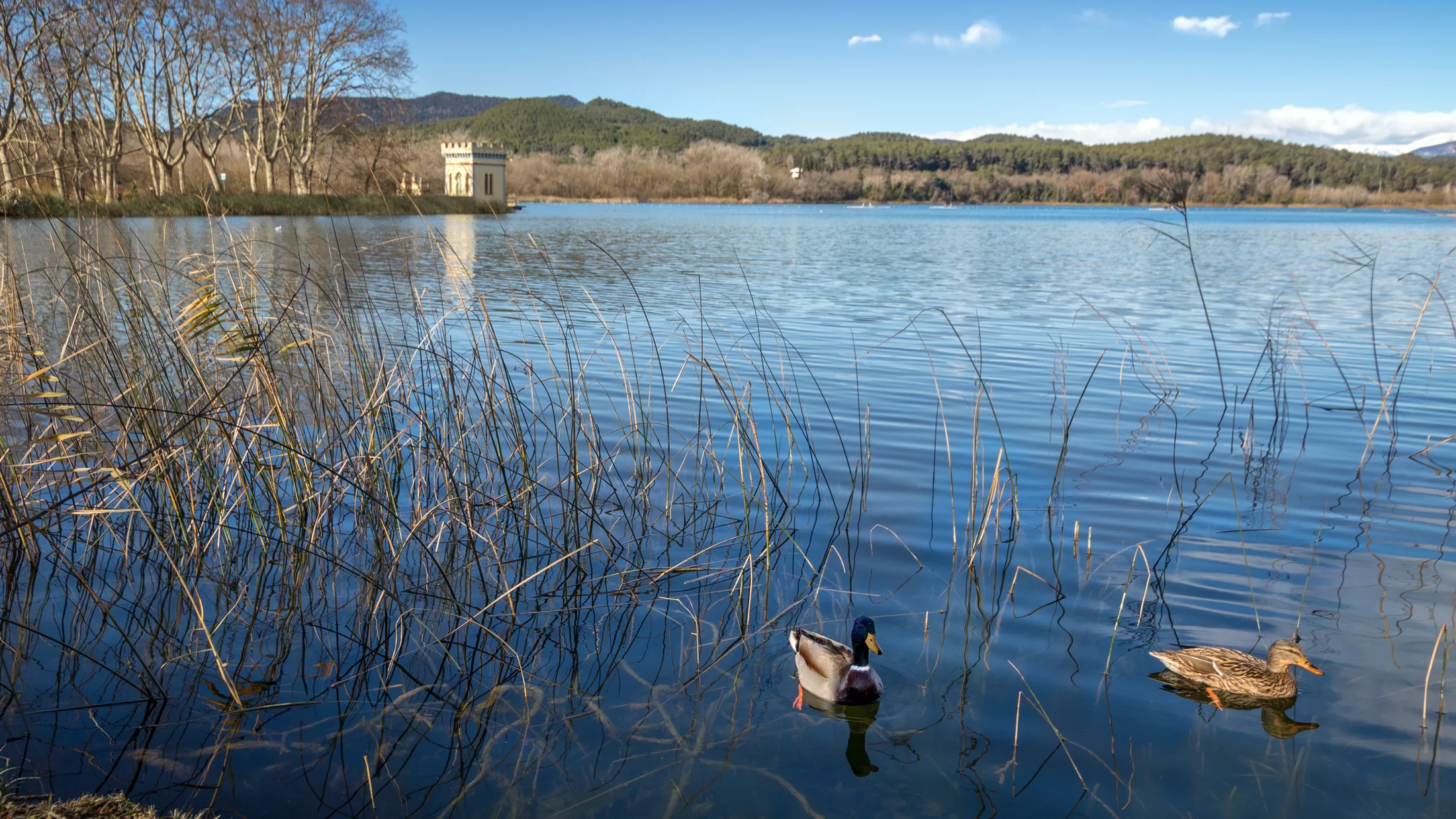 Imagen de Región: cmcnc9e4c0hgpzr5pji71ynbb