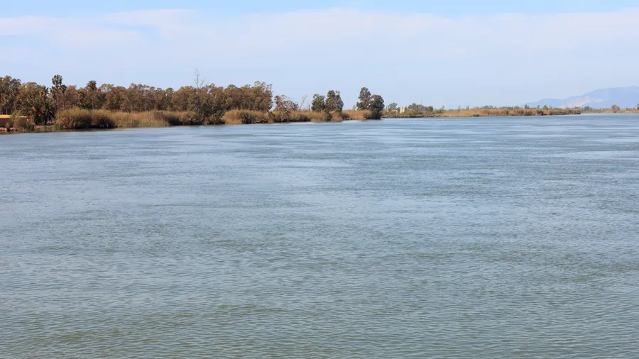 Imagen de Artículo de Blog: Guía de casa rural delta del ebro: escapadas y alojamientos