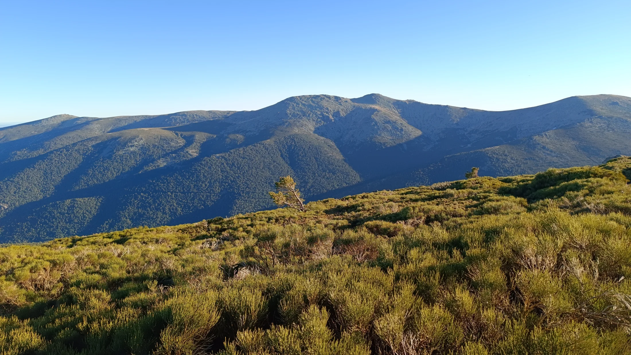 Imagen de Región: cmciwv85k0004x36mvt28a21j
