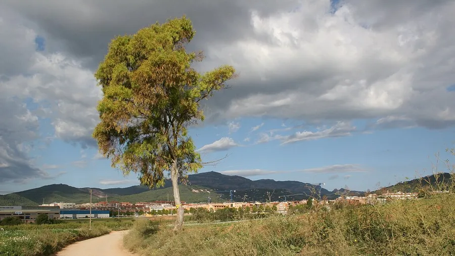 Castellar del Vallès