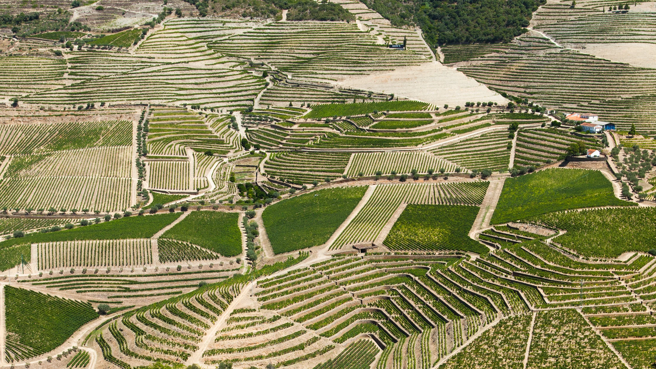 File:River Douro Valley Portugal   Vallée de la rivière Douro Portugal   Wine Vin Porto   Picture Image Photography (14962280582).jpg