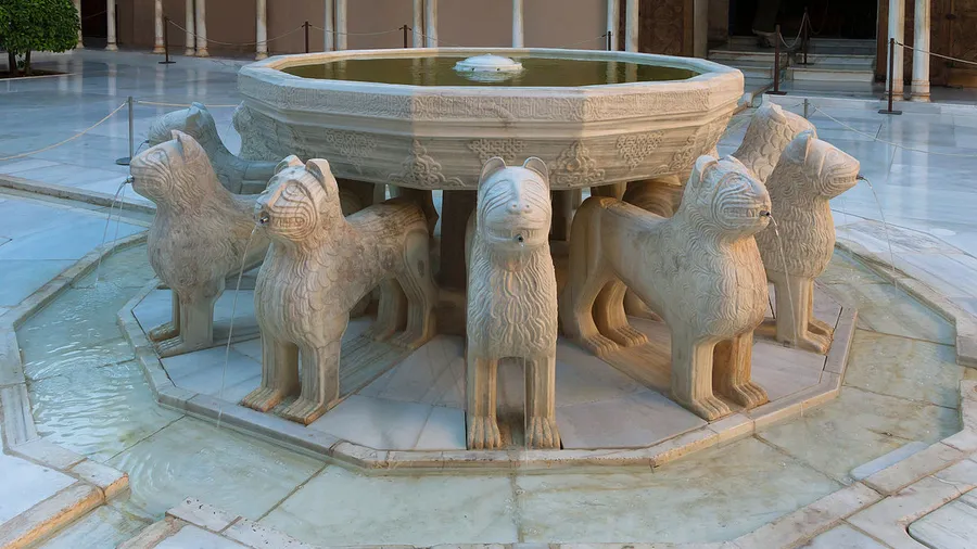 Imagen de Actividad: cmdymiar70jlt2xzhfuhfkbw2